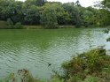 2019-09-26 10-20-39 Etang de Beaulieu FGn